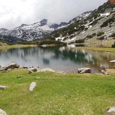 Daire Poppy Near Gondola *