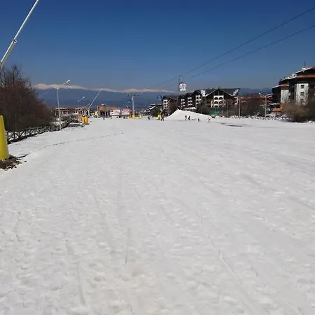 Daire Poppy Near Gondola Bansko
