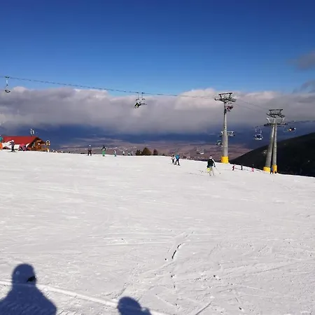 Daire Poppy Near Gondola